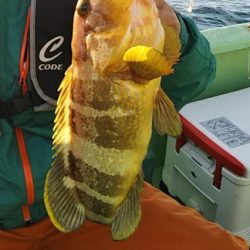 鯛ラバ釣り果